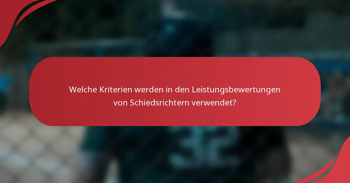 Welche Kriterien werden in den Leistungsbewertungen von Schiedsrichtern verwendet?