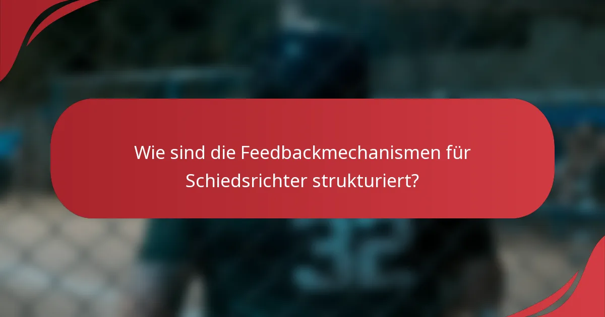 Wie sind die Feedbackmechanismen für Schiedsrichter strukturiert?